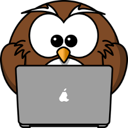 Illustration d'un hibou sur un ordinateur