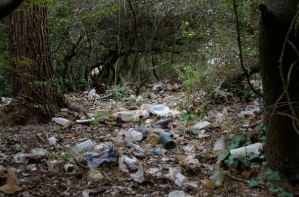 Nettoyage de la nature (Mairie)